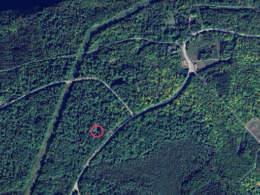Forestry Site Location